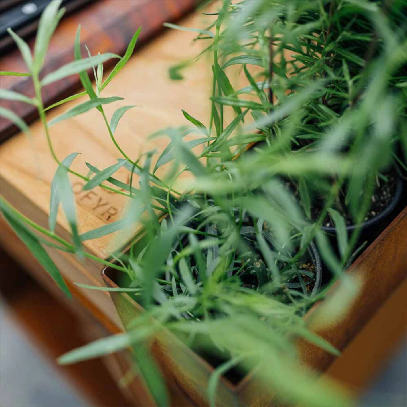 Brasero Plancha Island Corten PRO 100 Bois De Teck + Housse - Ofyr – Image 6